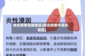 肺炎疫情高峰地区(肺炎疫情中高风险区)