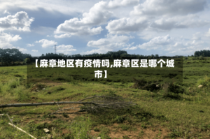【麻章地区有疫情吗,麻章区是哪个城市】