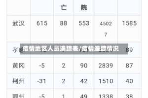 疫情地区人员追踪表/疫情追踪情况