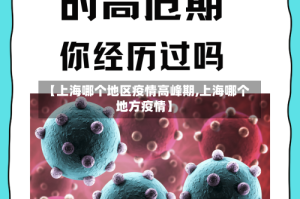 【上海哪个地区疫情高峰期,上海哪个地方疫情】