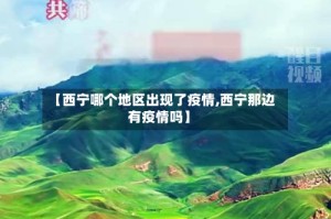 【西宁哪个地区出现了疫情,西宁那边有疫情吗】