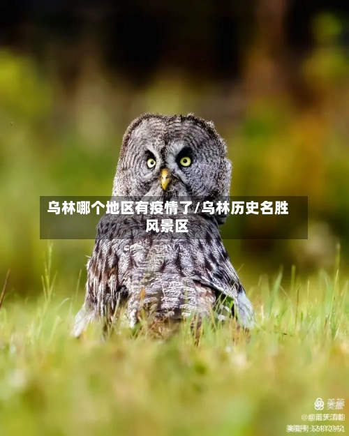 乌林哪个地区有疫情了/乌林历史名胜风景区-第1张图片