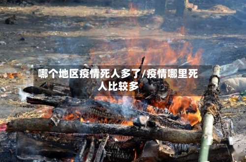 哪个地区疫情死人多了/疫情哪里死人比较多-第2张图片