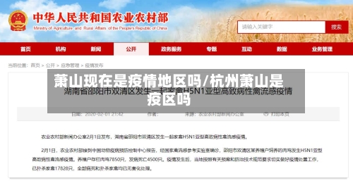萧山现在是疫情地区吗/杭州萧山是疫区吗-第1张图片