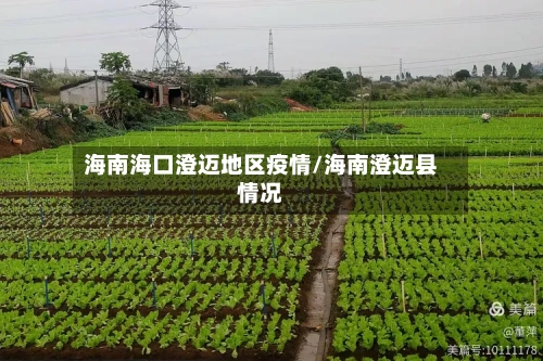 海南海口澄迈地区疫情/海南澄迈县情况-第2张图片