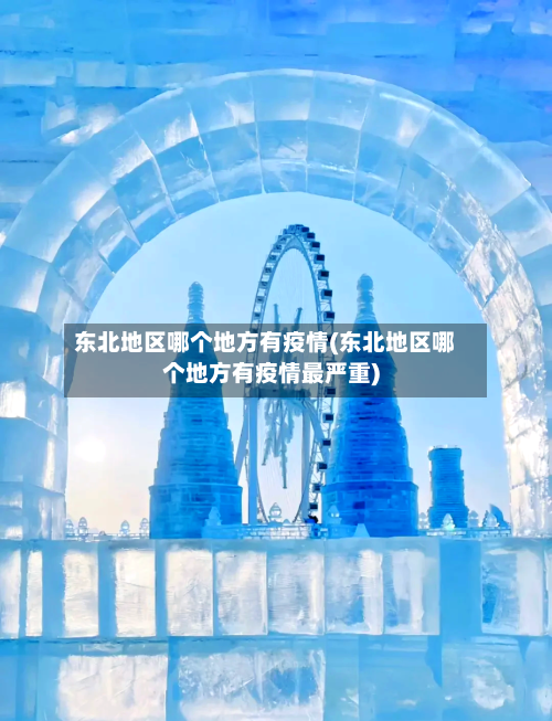 东北地区哪个地方有疫情(东北地区哪个地方有疫情最严重)-第1张图片