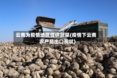 云南为疫情地区提供蔬菜(疫情下云南农产品出口现状)-第3张图片