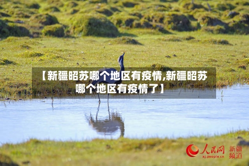 【新疆昭苏哪个地区有疫情,新疆昭苏哪个地区有疫情了】-第1张图片