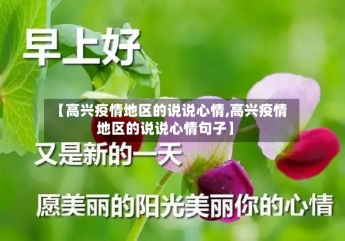 【高兴疫情地区的说说心情,高兴疫情地区的说说心情句子】-第2张图片
