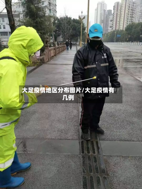 大足疫情地区分布图片/大足疫情有几例-第1张图片