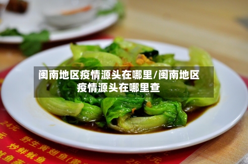 闽南地区疫情源头在哪里/闽南地区疫情源头在哪里查-第1张图片