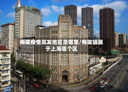 梅陇疫情高发地区是哪里/梅陇镇属于上海哪个区-第2张图片