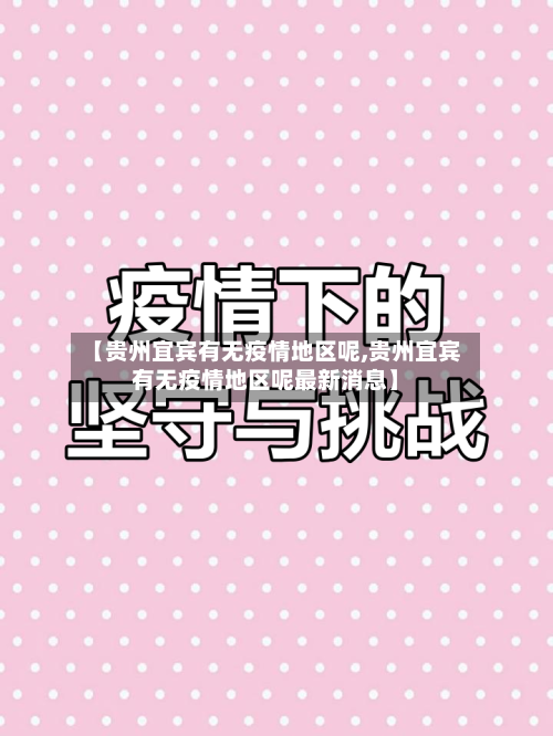 【贵州宜宾有无疫情地区呢,贵州宜宾有无疫情地区呢最新消息】-第3张图片