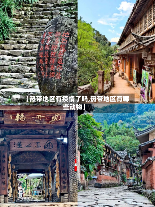 【热带地区有疫情了吗,热带地区有哪些动物】-第1张图片