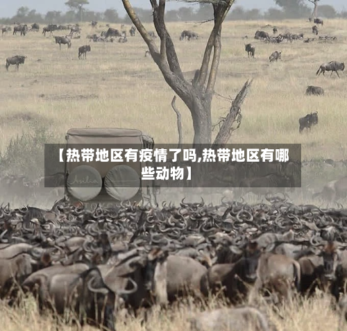 【热带地区有疫情了吗,热带地区有哪些动物】-第3张图片