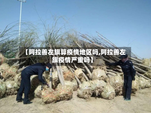 【阿拉善左旗算疫情地区吗,阿拉善左旗疫情严重吗】-第1张图片