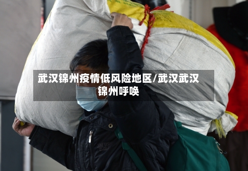 武汉锦州疫情低风险地区/武汉武汉锦州呼唤-第1张图片
