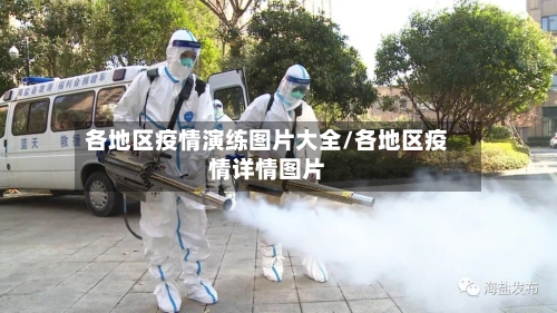 各地区疫情演练图片大全/各地区疫情详情图片-第2张图片