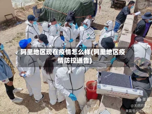 阿里地区现在疫情怎么样(阿里地区疫情防控通告)-第2张图片