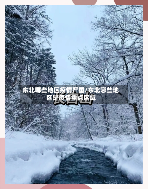 东北哪些地区疫情严重/东北哪些地区是疫情重点区域-第1张图片