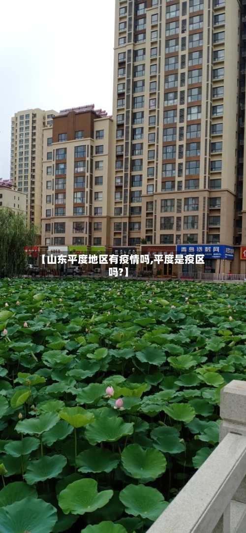 【山东平度地区有疫情吗,平度是疫区吗?】-第2张图片
