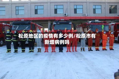 松原地区的疫情有多少例/松原市有新增病例吗-第1张图片