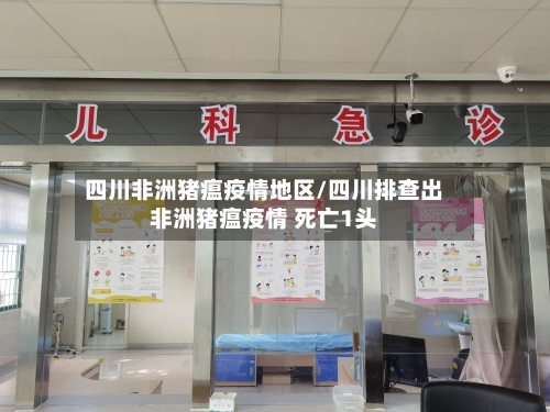 四川非洲猪瘟疫情地区/四川排查出非洲猪瘟疫情 死亡1头-第1张图片