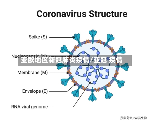 亚欧地区新冠肺炎疫情/亚冠 疫情-第2张图片