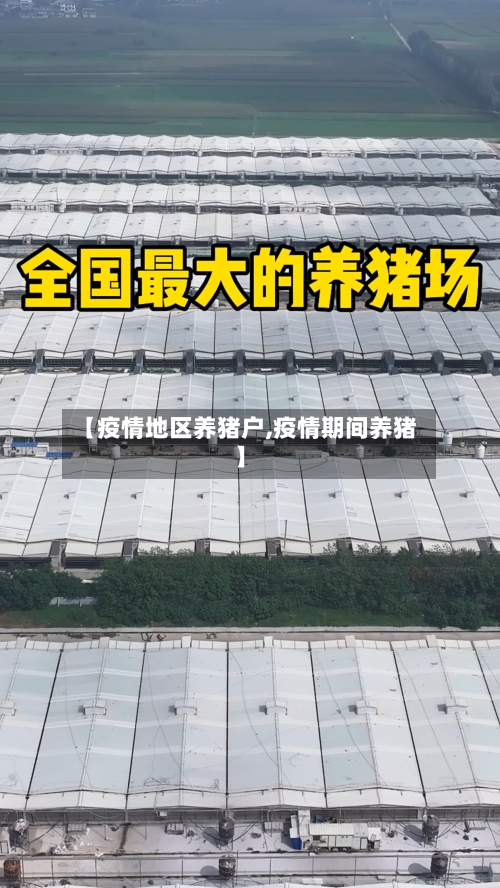 【疫情地区养猪户,疫情期间养猪】-第3张图片