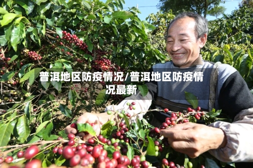 普洱地区防疫情况/普洱地区防疫情况最新-第2张图片