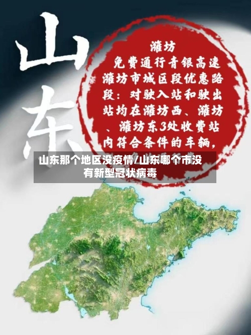山东那个地区没疫情/山东哪个市没有新型冠状病毒-第1张图片