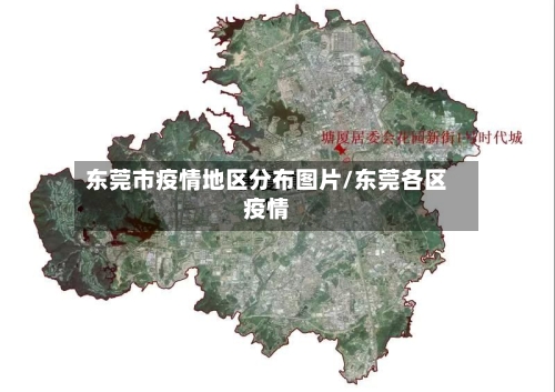 东莞市疫情地区分布图片/东莞各区疫情-第2张图片