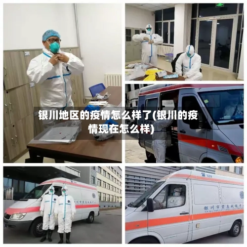 银川地区的疫情怎么样了(银川的疫情现在怎么样)-第1张图片