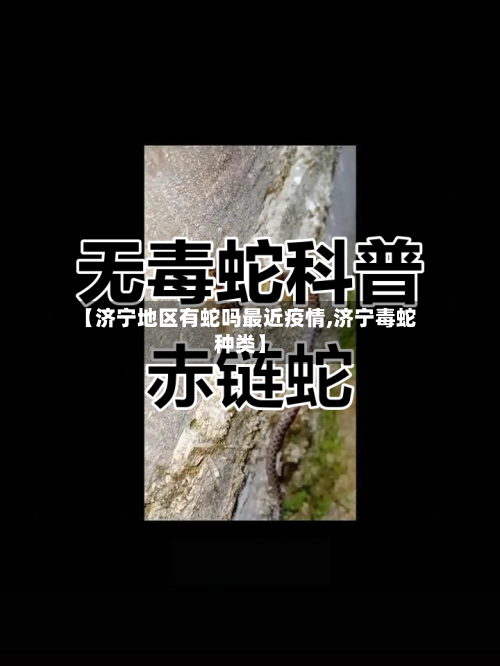 【济宁地区有蛇吗最近疫情,济宁毒蛇种类】-第1张图片
