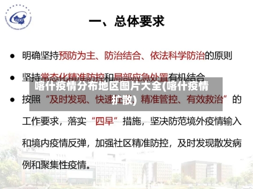 喀什疫情分布地区图片大全(喀什疫情扩散)-第3张图片