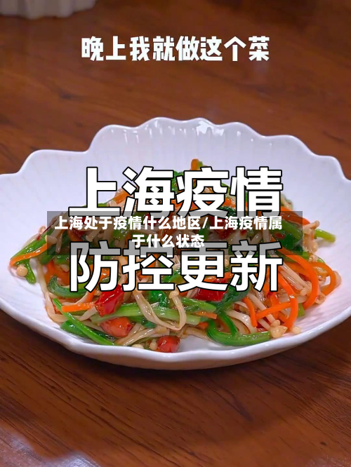 上海处于疫情什么地区/上海疫情属于什么状态-第3张图片
