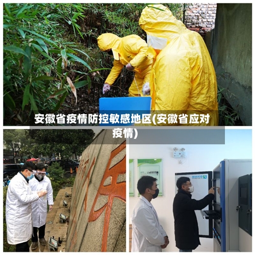 安徽省疫情防控敏感地区(安徽省应对疫情)-第1张图片