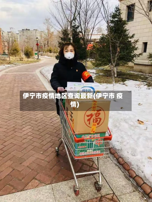 伊宁市疫情地区查询最新(伊宁市 疫情)-第2张图片