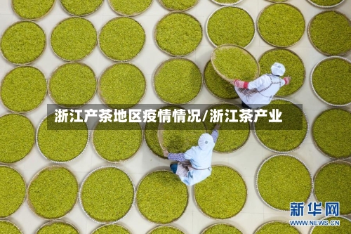 浙江产茶地区疫情情况/浙江茶产业-第1张图片
