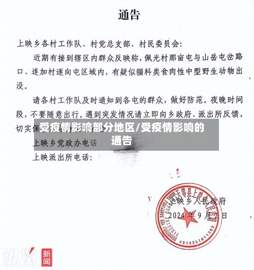 受疫情影响部分地区/受疫情影响的通告-第1张图片