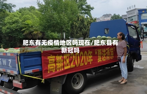 肥东有无疫情地区吗现在/肥东县有新冠吗-第3张图片