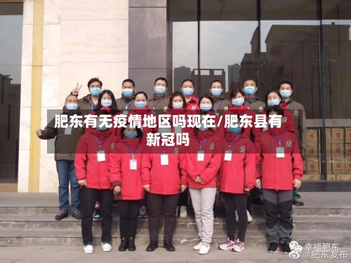肥东有无疫情地区吗现在/肥东县有新冠吗-第2张图片