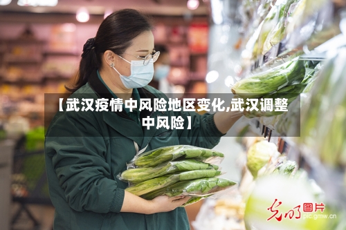 【武汉疫情中风险地区变化,武汉调整中风险】-第1张图片