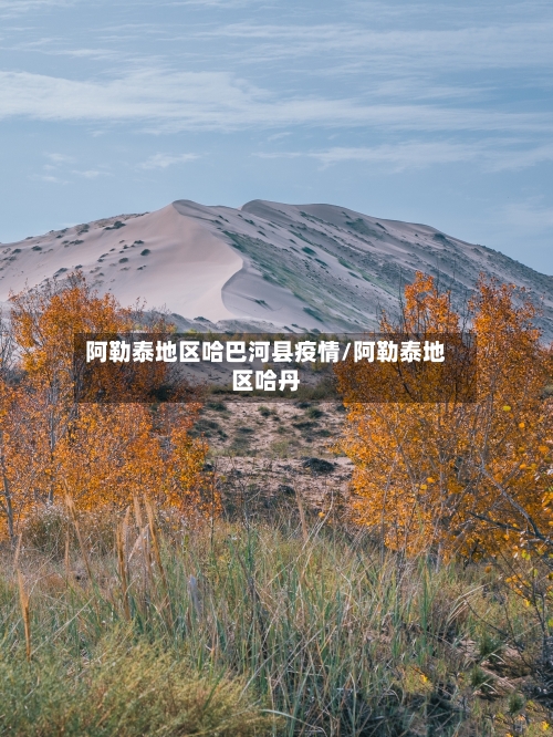 阿勒泰地区哈巴河县疫情/阿勒泰地区哈丹-第1张图片