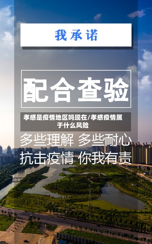 孝感是疫情地区吗现在/孝感疫情属于什么风险-第3张图片