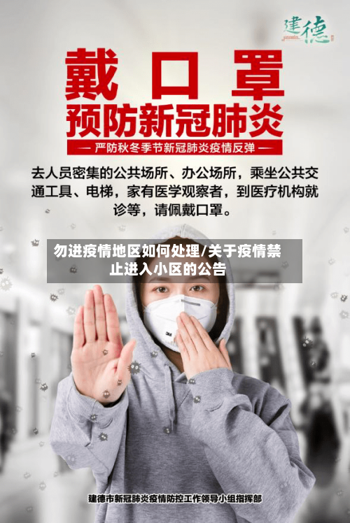 勿进疫情地区如何处理/关于疫情禁止进入小区的公告-第2张图片