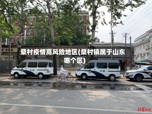 桑村疫情高风险地区(桑村镇属于山东哪个区)-第1张图片