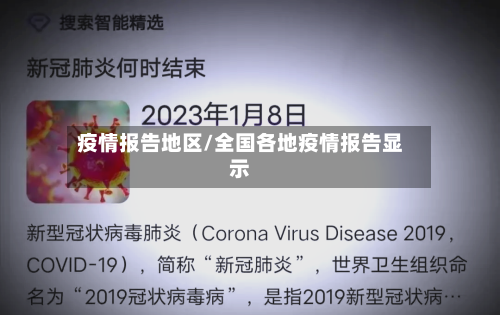 疫情报告地区/全国各地疫情报告显示-第2张图片