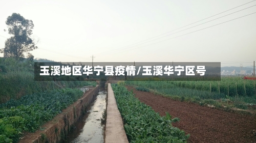 玉溪地区华宁县疫情/玉溪华宁区号-第1张图片