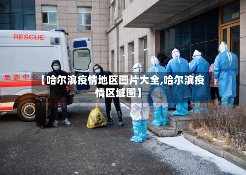 【哈尔滨疫情地区图片大全,哈尔滨疫情区域图】-第1张图片